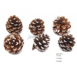 SZYSZKA SOSNY 5-8 cm NAKRAPIANA NA BIAŁY KOLOR 6 SZT/OP