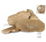 HUBA SPONGE GRZYBY DUŻE 16-18 CM NATURALNE 4 SZT/OPAK