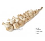 CZOSNEK 16 SZT. Z LIŚCI KUKURYDZY 55 CM WARKOCZ