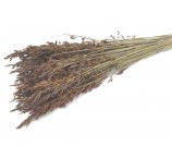 TRAWA SUSZONA THATCH REED 150 GRAM / WIĄZKA