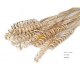 CANE SPRING 50 CM NATURALNE sprężynki do bukietów 12 SZT/OPAK