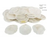 MUSZLE CAPIZ 7-8 cm z 1 dziurką, 1 kg (ok 190 - 200 szt)