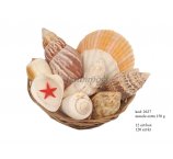 MUSZLE EXTRA 150 GRAM MIX /KOSZYK 10 CM 