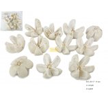 KARTUSH STAR FLOWER kwiatki wybielane 7-10 cm, 12 szt w opakowaniu