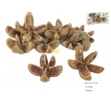 KARTUSH STAR FLOWER naturalne kwiatki, 5-7 cm, 12 szt w opakowaniu