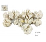 KARTUSH STAR FLOWER wybielane kwiatki, 5-7 cm, 12 szt w opakowaniu