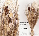 BUKIET Z SUSZU 120 CM