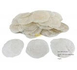 MUSZLE CAPIZ 6-8 CM    1 KG ok 230-240 szt.