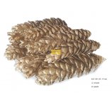 SZYSZKA STROBUS 20-25 cm ZŁOTY KOLOR 12 SZT/OPAK