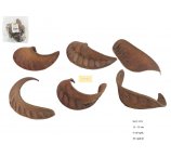 ELEPHANT EAR BIG 12-18 CM - 6 szt/opak