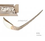 SHOE HORN 50-55CM WYBIELANY