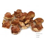 PALM CAP naturalne kwiaty palmy 7-12 cm 12 sztuk w opakowaniu