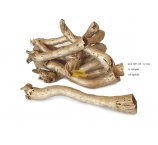 ZŁOTE KOPI CONE 10-12 cm ZŁOTY KOLOR 12SZT/OPAK