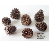 SZYSZKA SOSNY 5 - 7 cm naturalna, 12 szt w opakowaniu