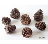 SZYSZKA SOSNY 5 - 7 cm cm, luzem w kartonie 600 szt