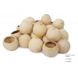 BEL CUP MINI BABY 3-4 cm naturalny 24 szt/opak