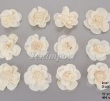 SHOLA POTEA 5cm 12 SZT/OPAK