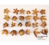 LILY 3-6 CM SMALL NATURALNA 24 SZT/OPAK