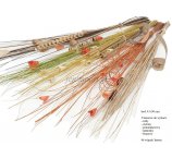 BUKIET SNOPEK TING-TING z SUSZU 90 cm, 5 kolorów do wyboru: żółty, pomarańczowy, zielony, naturalny i brązowy