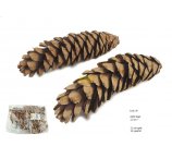 SZYSZKA STROBUS EX LARGE +22 CM NATURAL 12 SZT/OPAK