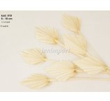 PALM SPEAR MINI 8-10 CM ŚREDNICA BIELONE 12 SZT/OPAK