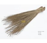 STRIP GRASS 100 G/OPAK NATURAL 35-50 cm