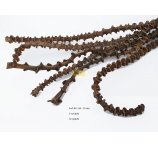 BANANA STEM 6 SZT/OPAK 40 -50 CM NATUR