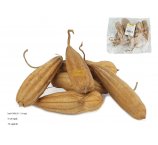 MOND CAPSUL Z SUSZONYMI NASIONAMI GRZECHOCZĄCE 6 SZT / OPAK 8-14 CM NATRUALNE