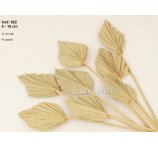 PALM SPEAR MINI 8-10 CM ŚREDNICA NATURALNE 12 sztuk w opakowaniu