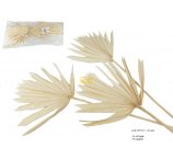 PALM SUN BIELONE MINI 15-20 CM CM 12 SZT/OPAK