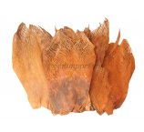 KORA PALMY NATURALNA 500g/opak