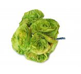 zielone RÓŻE KWIATY Z SUSZONYCH LIŚCI MAGNOLII 7-8 cm